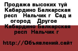 Продажа высоких туй - Кабардино-Балкарская респ., Нальчик г. Сад и огород » Другое   . Кабардино-Балкарская респ.,Нальчик г.